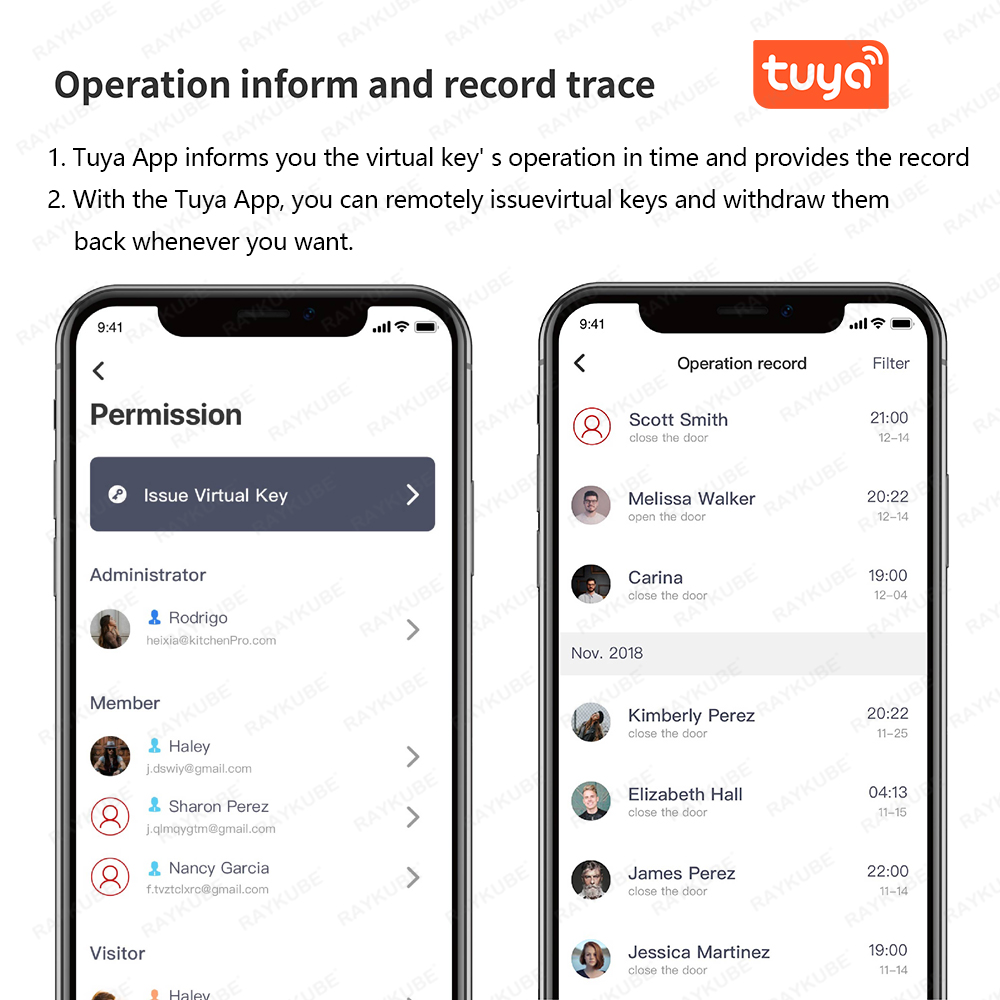 RAYKUBE A1 Pro Tuya BEL スマートドア - Home Security Door Lock のレビューと価格