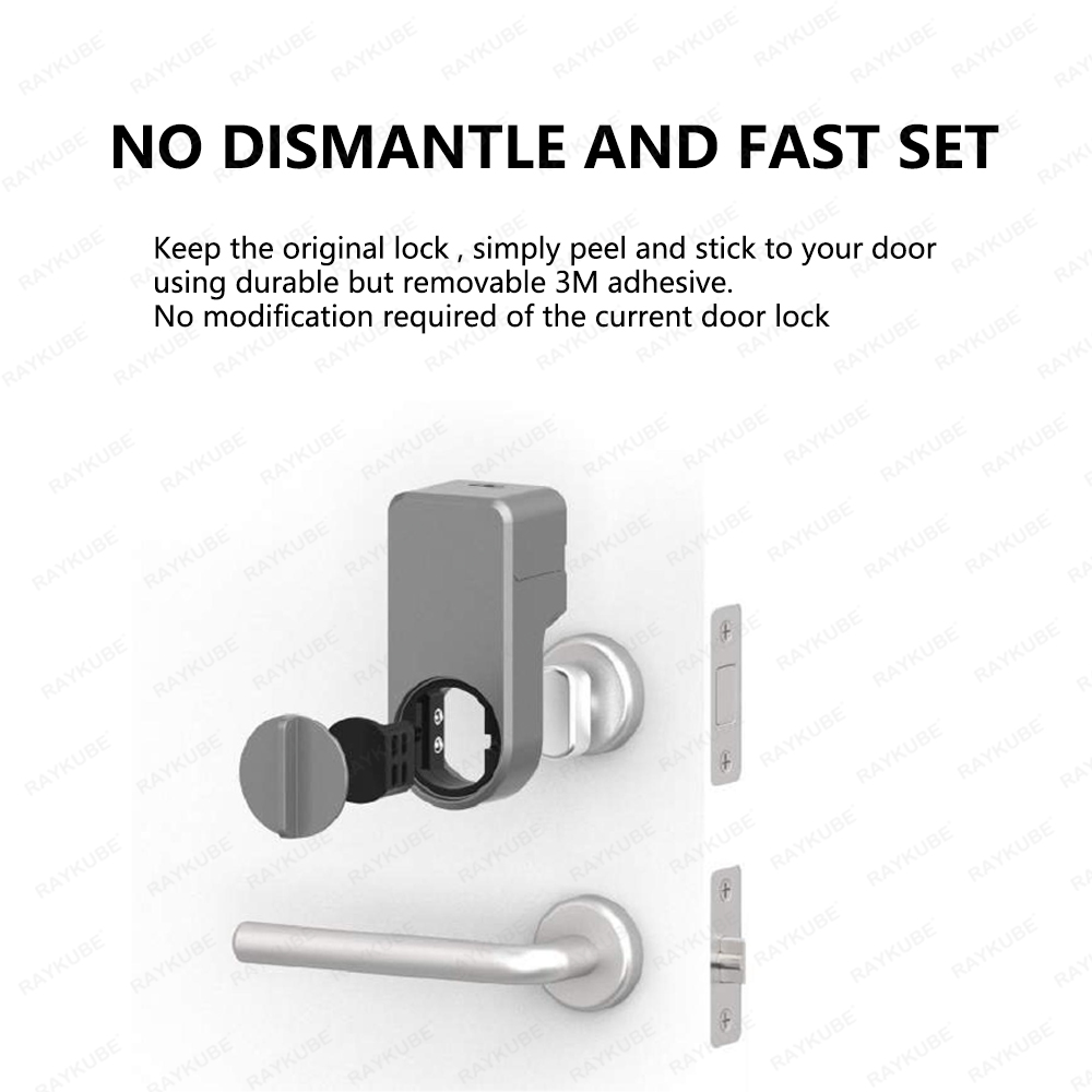 RAYKUBE A1 Pro Tuya BEL スマートドア - Home Security Door Lock のレビューと価格