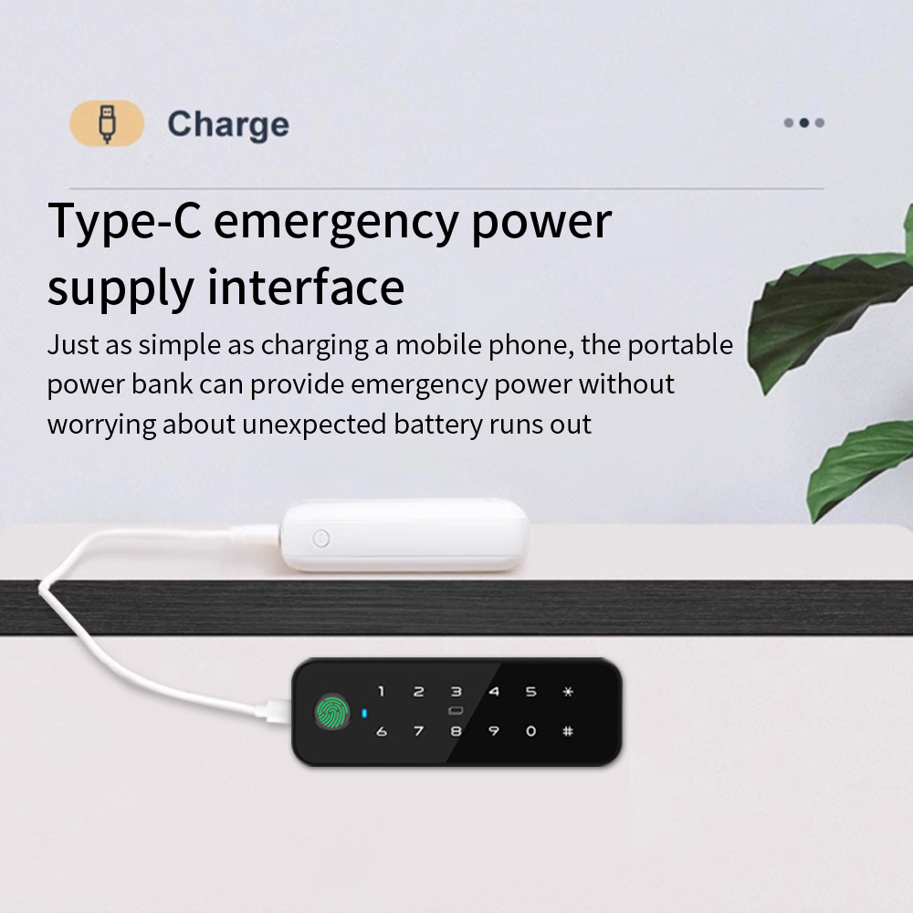 Tuya Bluetooth スマート木製キャビネット指紋ロ - Home Security Door Lock のレビューと価格