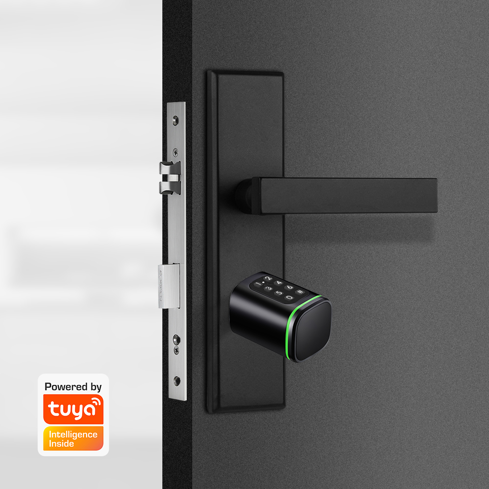 スマートシリンダーロック Tuya 60-90 ミリメートル - Home Security Essential のレビューと価格